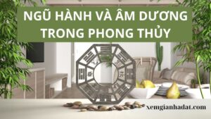 Ngũ hành và âm dương trong phong thủy nhà đất cơ bản