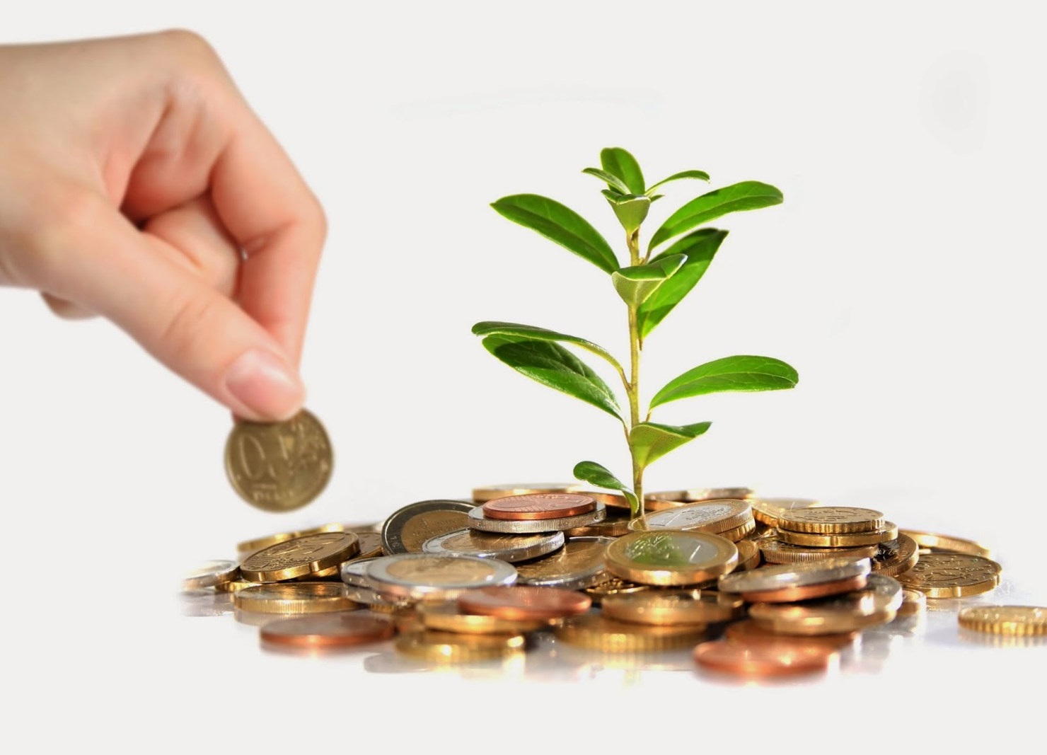 Chi phí đầu tư ban đầu cho việc mua đất vườn khá lớn